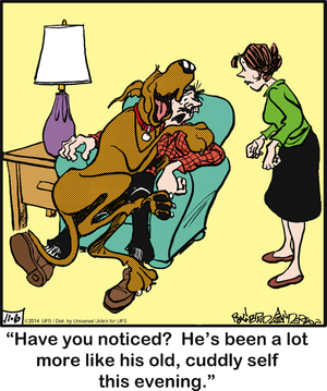 marmaduke